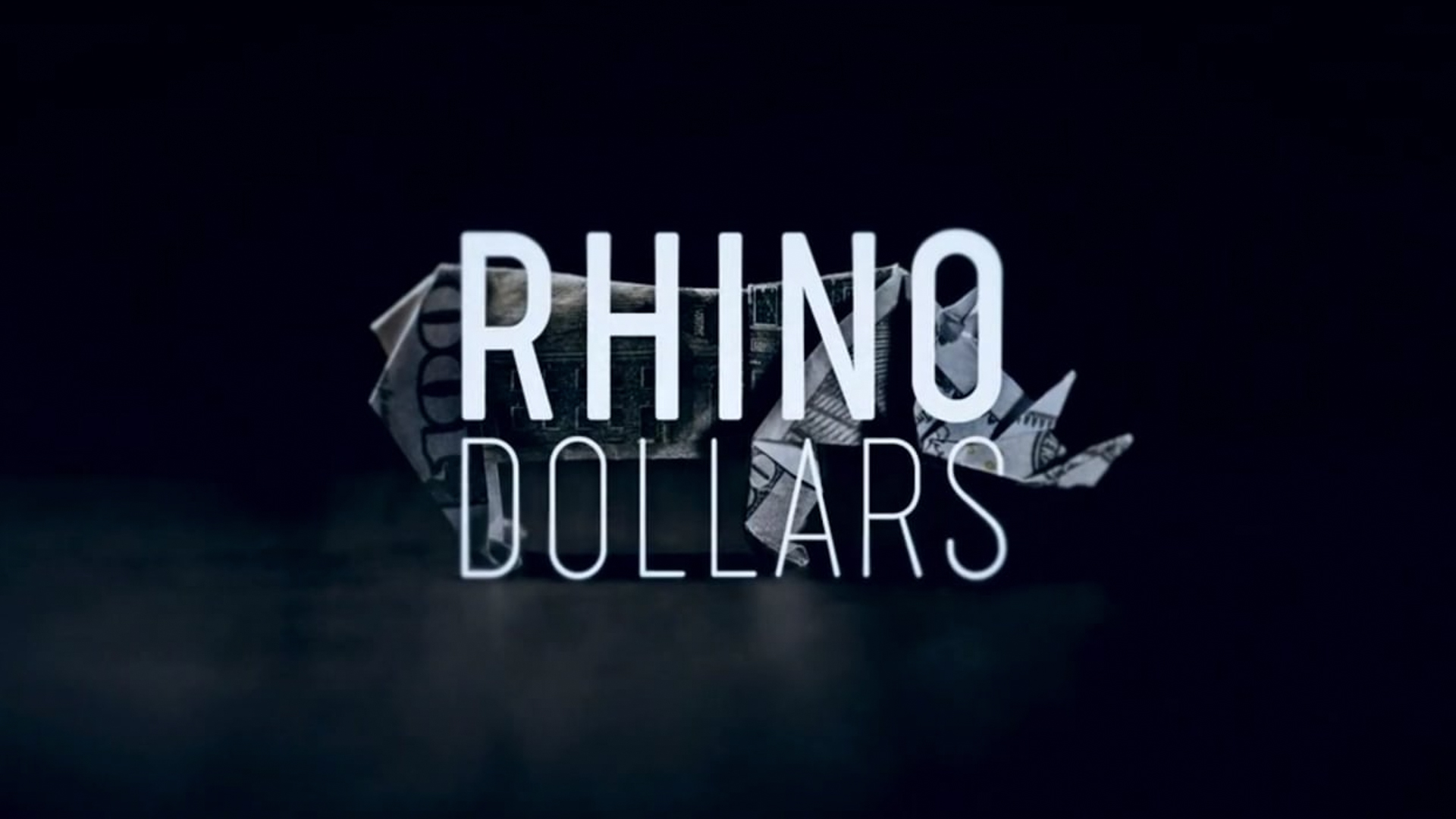 Rhino Dollars (ARTE)